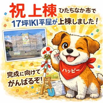 【祝上棟】ひたちなか市で17坪1LDKの規格型平屋が上棟しました